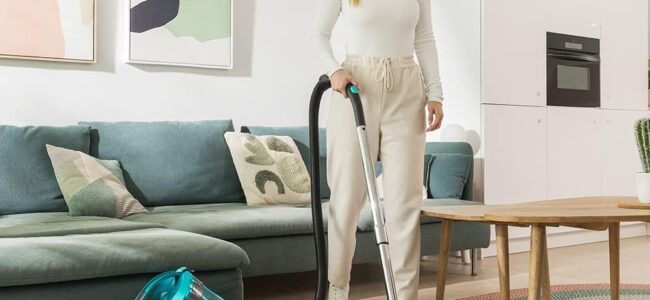 Mejores Aspiradores de Trineo