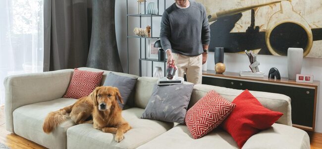 Mejores Aspiradoras de Futones
